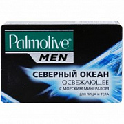 ПАЛМОЛИВ Натурэль Мыло мужское Северный океан №363888500